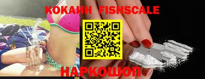 гашик Камышлов