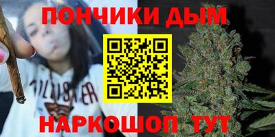 гашик Камышлов