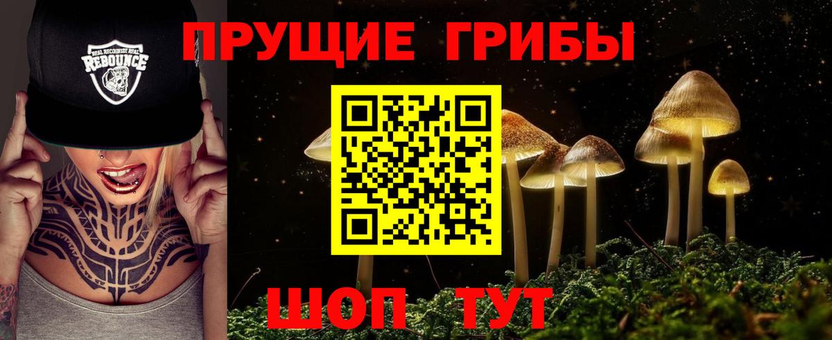 Галлюциногенные грибы GOLDEN TEACHER Фрязино