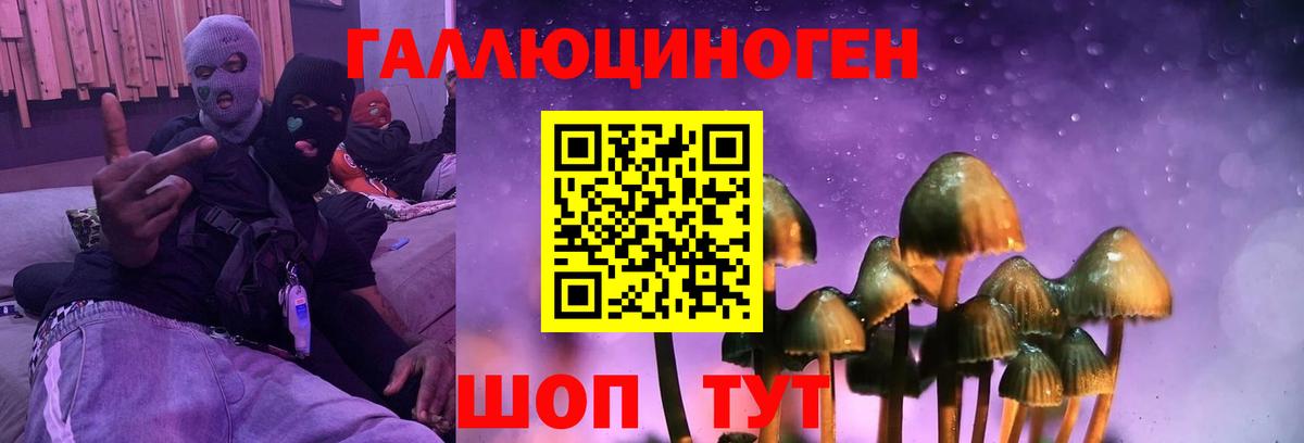 Галлюциногенные грибы Cubensis  Псилоцибиновые грибы ЛСД  Фрязино  Вход с VPN 